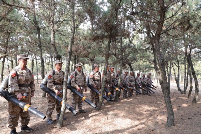 錘煉“迷彩防線”硬作風 以練筑防守護夏甸平安